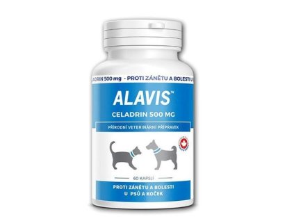 ALAVIS Celadrin 500 mg 60 tbl.