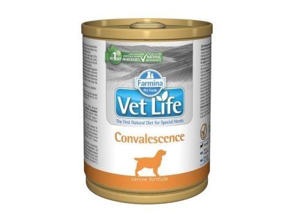 Farmina Vet Life dog Convalescence konzerva 300 g