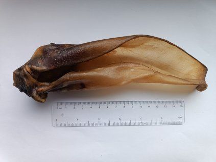 Ucho hovädzie 14-16CM SNACK NATURAL 1 ks