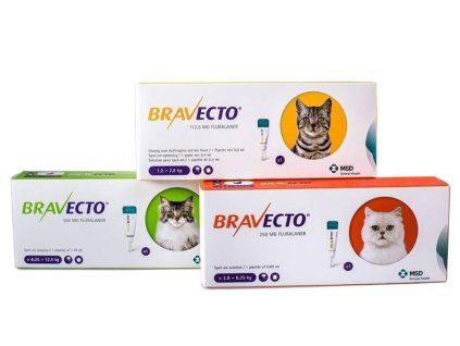 Bravecto Cat S 112,5 mg spot-on roztok pre malé mačky ( od 1,2 do 2,8 kg ) 1 x 0,4 ml