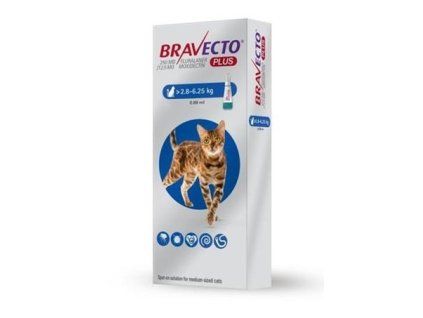 Bravecto Cat Plus M 250 mg / 12,5 mg spot-on roztok pre stredne veľké mačky (>2,8-6,25 kg)