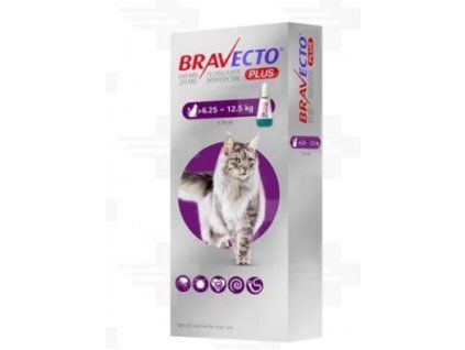 Bravecto Cat Plus L 500 mg / 25 mg spot-on roztok pre veľké mačky (>6,25-12,5 kg)
