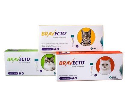 Bravecto Cat L 500 mg spot-on roztok pre veľké mačky ( od 6,25 do 12,5 kg ) 1 x 1,79 ml