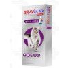 Bravecto Cat Plus L 500 mg / 25 mg spot-on roztok pre veľké mačky (>6,25-12,5 kg)